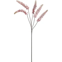 Bloem Phytolacca Roze