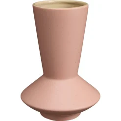 Vaas Ayron Roze