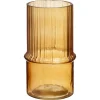 Vaas Lecce Amber